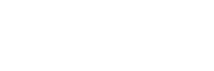 cropped logo w.png